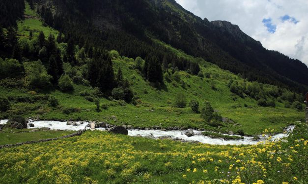 Rize’de 11 Ayder Yaylası daha bulundu!