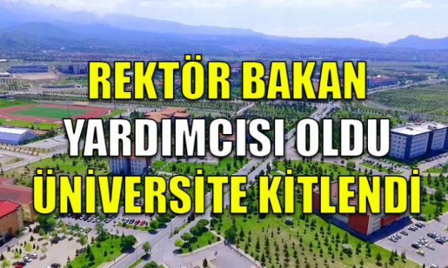 Rektör bakan yardımcısı oldu, üniversitede atamalar ve işlemler durdu